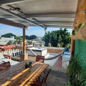 Apartamento In Casa Iris Downtown, Luxury And Modern Coliving Space México